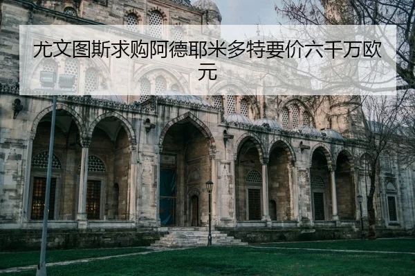 you-wen-tu-si-qiu-gou-a-de-ye-mi-duo-te-yao-jia-liu-qian-wan-ou-yuan-2-967.jpg